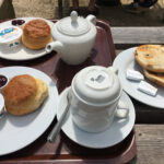 Cream tea at Cotswold Lavender