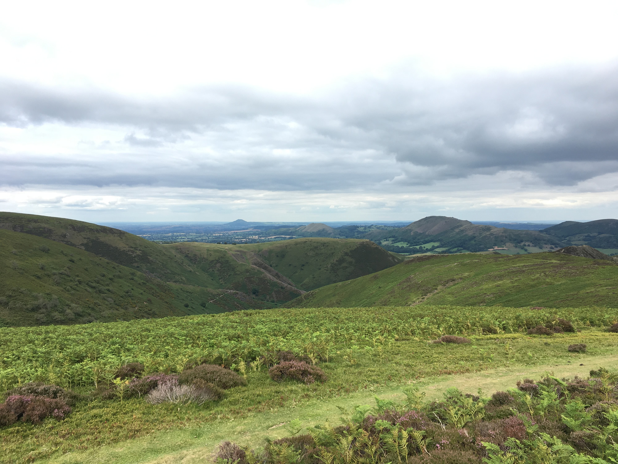 Berry's, Church Stretton cafe reviewed and visited