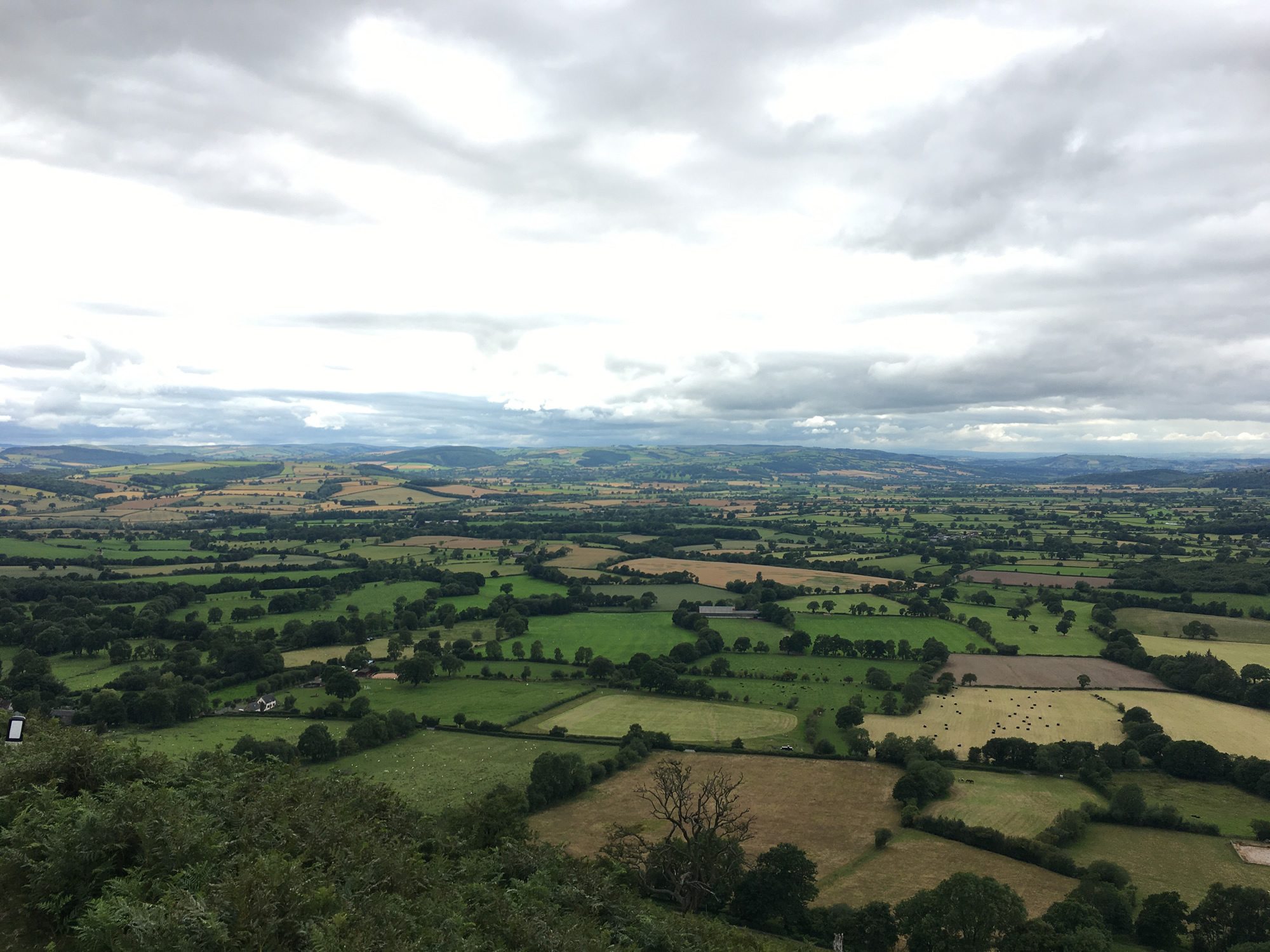 Berry's, Church Stretton cafe reviewed and visited