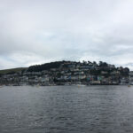 Dartmouth harbour